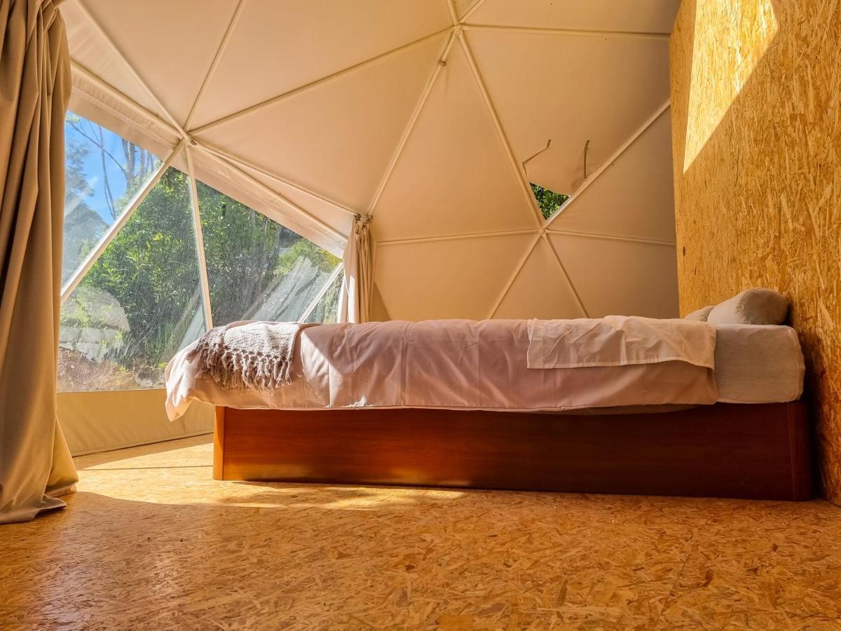 Quinta Do Abacate - Glamping Park Villa Angra do Heroismo Ngoại thất bức ảnh