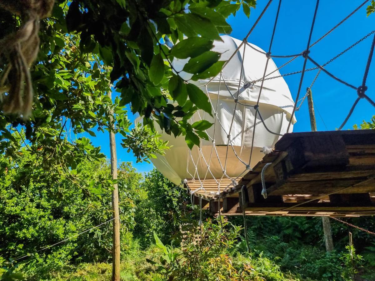 Quinta Do Abacate - Glamping Park Villa Angra do Heroismo Ngoại thất bức ảnh
