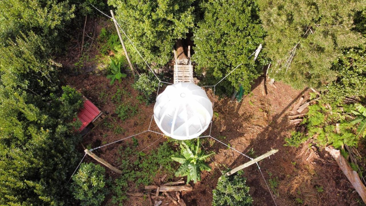 Quinta Do Abacate - Glamping Park Villa Angra do Heroismo Ngoại thất bức ảnh