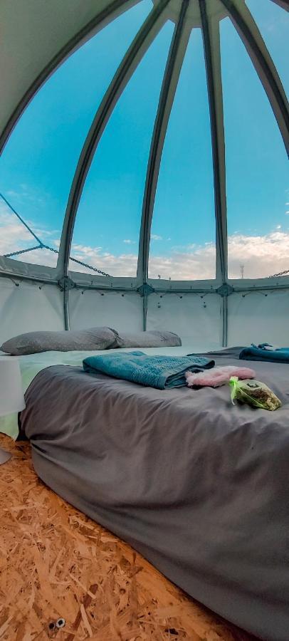 Quinta Do Abacate - Glamping Park Villa Angra do Heroismo Ngoại thất bức ảnh