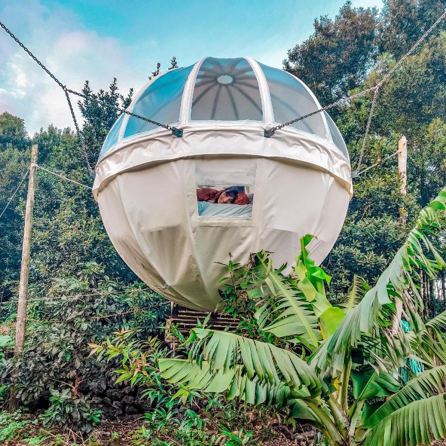 Quinta Do Abacate - Glamping Park Villa Angra do Heroismo Ngoại thất bức ảnh